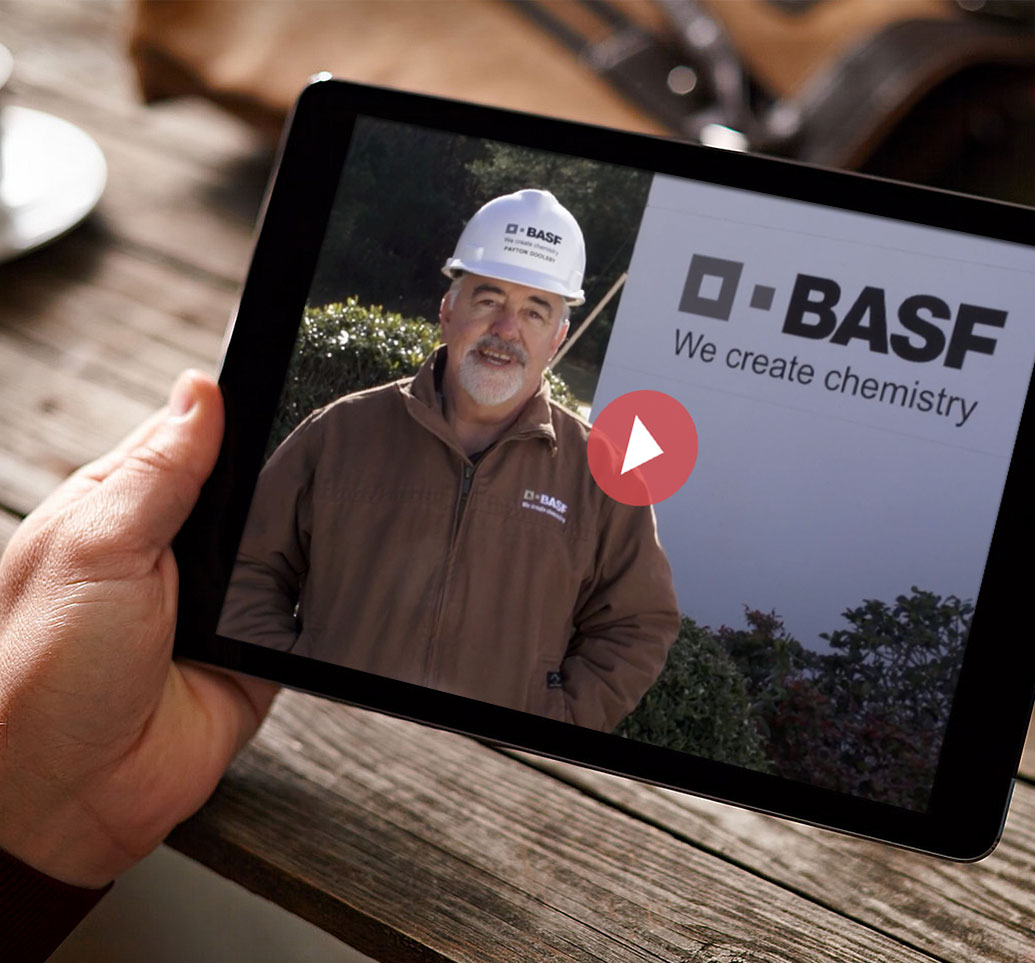 BASF Colors & Effects – Video Content